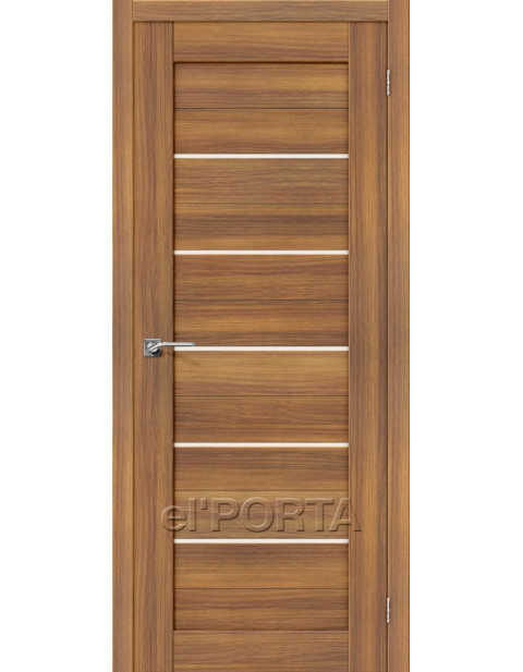 Дверь Порта-22